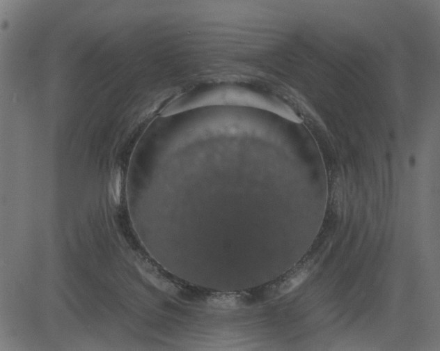 X0000082690076200702091708