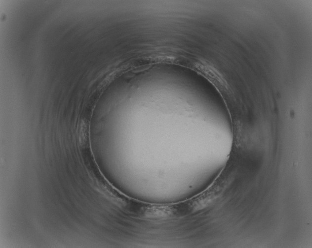 X0000082690077200702091708