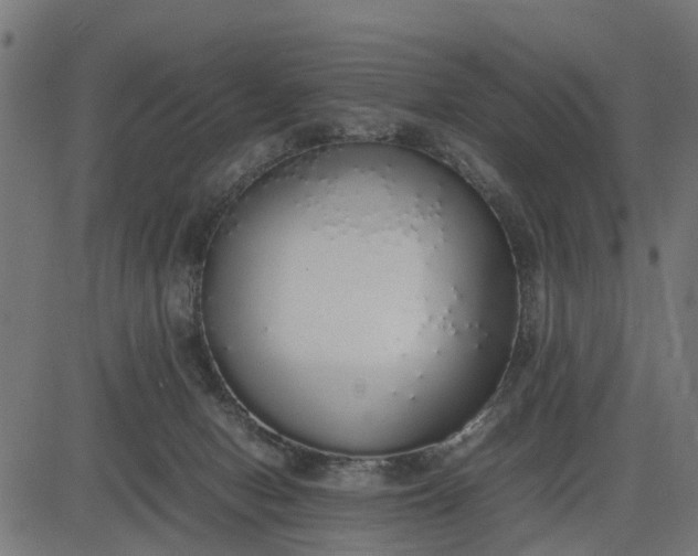 X0000082690078200702091708