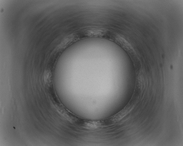 X0000082690079200702091708