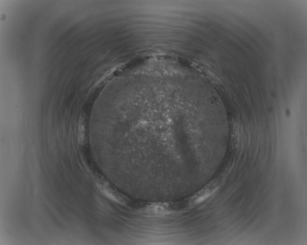 X0000082690080200702091708