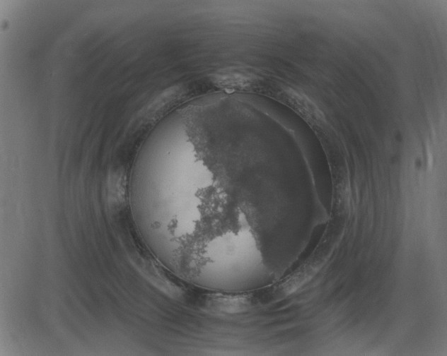 X0000082690081200702091708