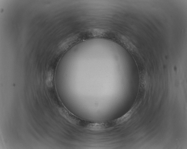 X0000082690082200702091708