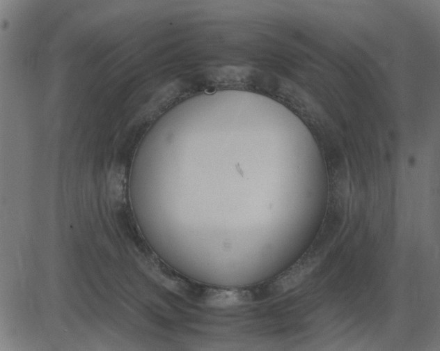 X0000082690083200702091708