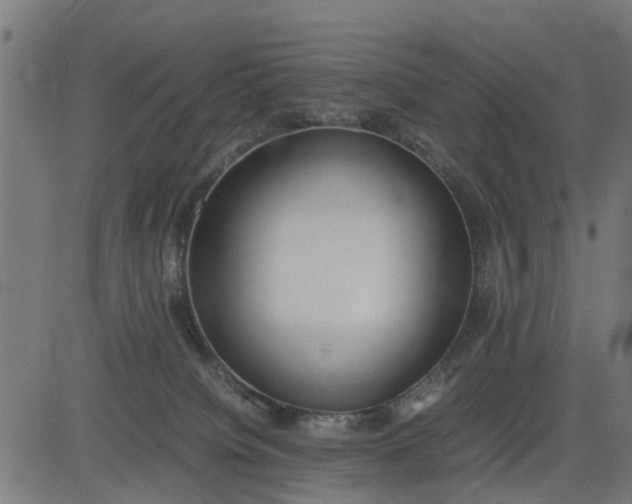 X0000082690084200702091708