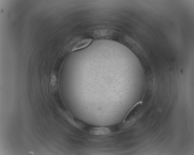 X0000082690087200702091708