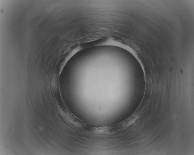 X0000082690088200702091708