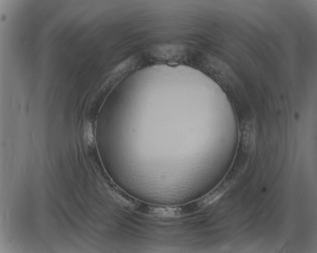 X0000082690089200702091708