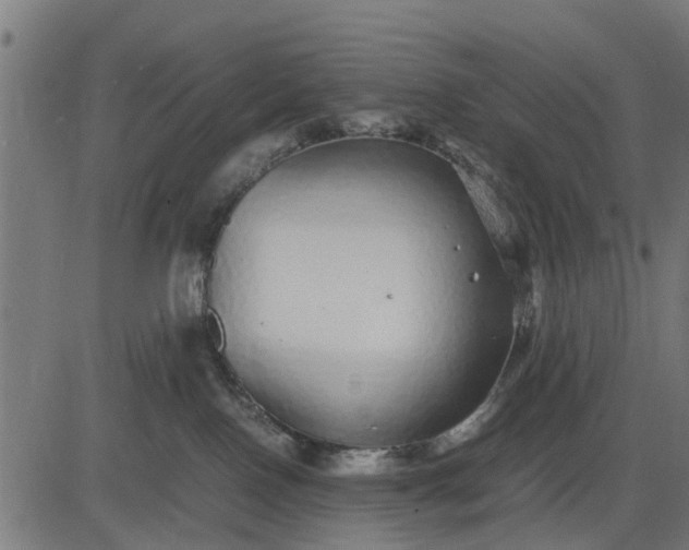 X0000082690090200702091708