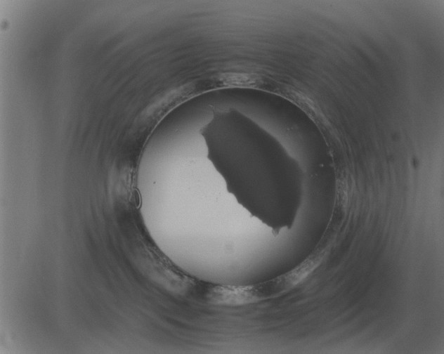 X0000082690093200702091708