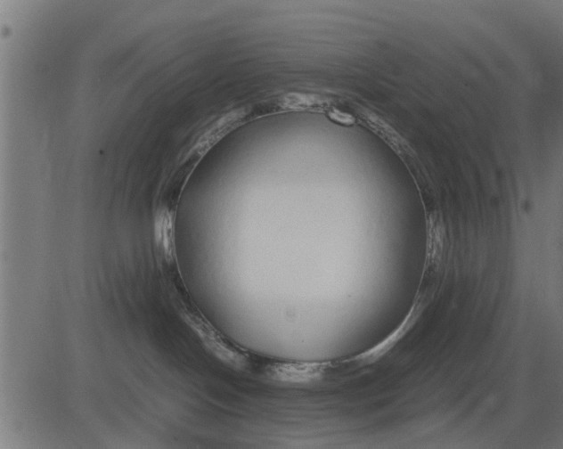 X0000082690094200702091708