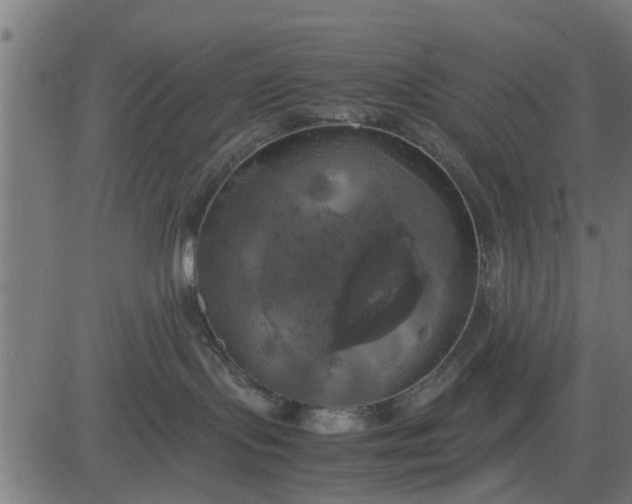 X0000082690095200702091708