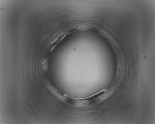 X0000082690096200702091708