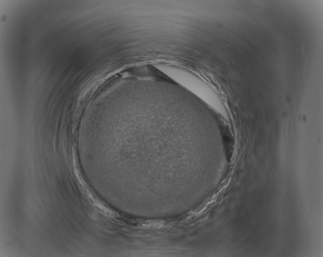 X0000082690097200702091707