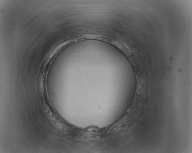 X0000082690098200702091707