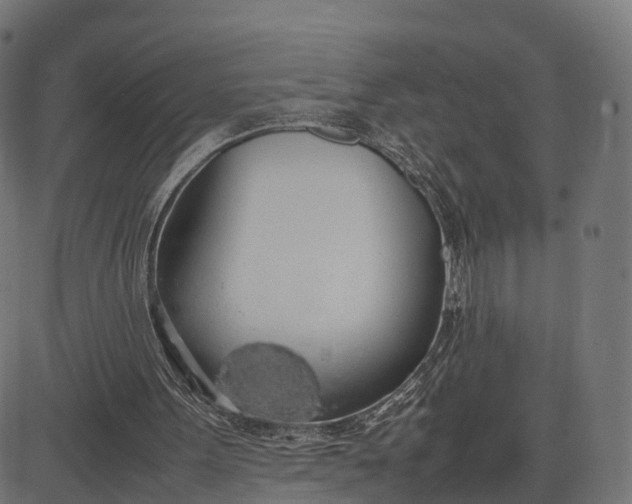 X0000082690099200702091707