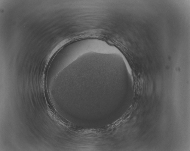 X0000082690100200702091707