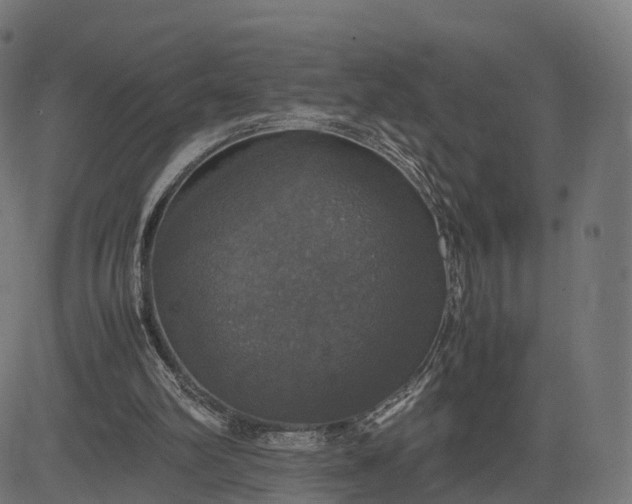 X0000082690102200702091707