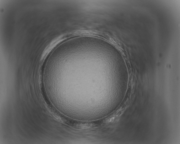 X0000082690103200702091707