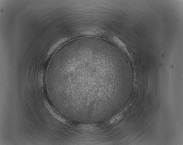 X0000082690106200702091707