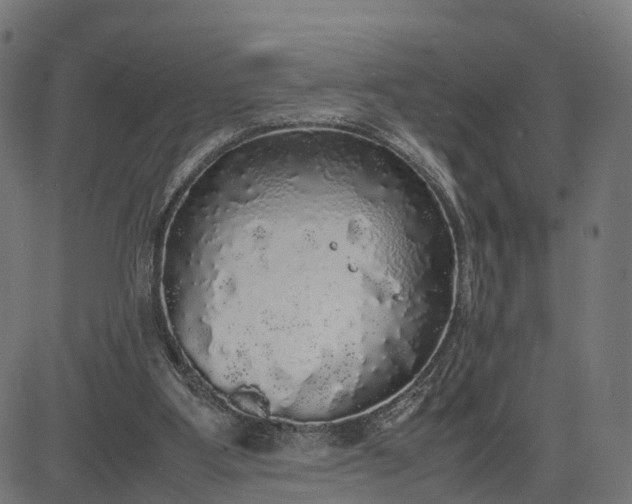 X0000082690107200702091707