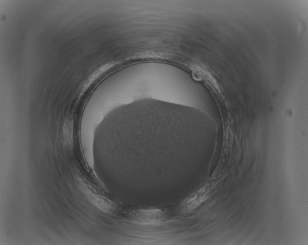 X0000082690108200702091707