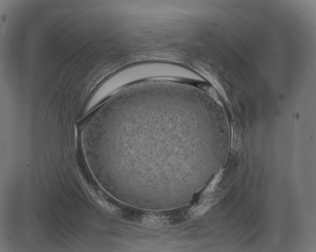 X0000082690109200702091707