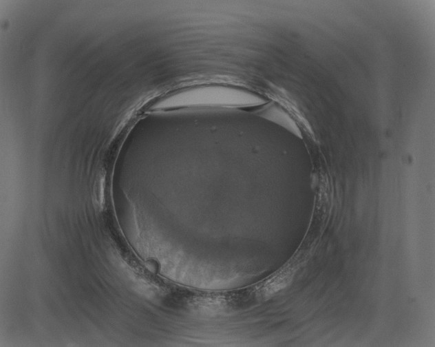 X0000082690110200702091707