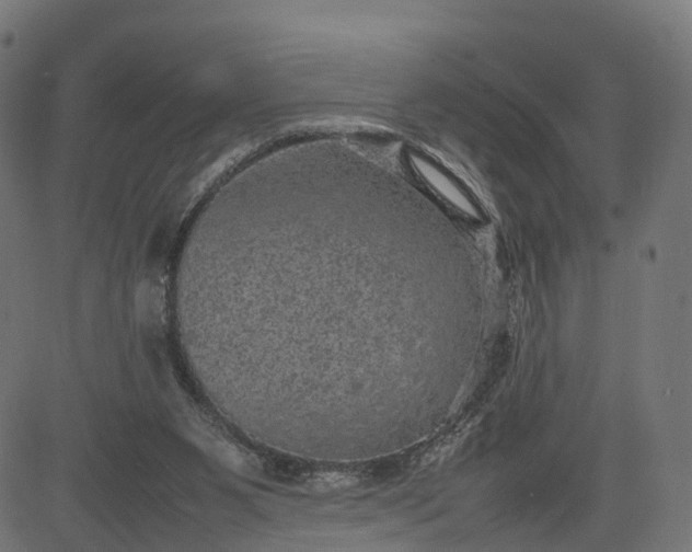 X0000082690111200702091707