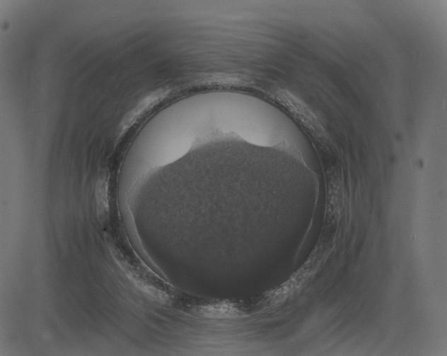 X0000082690112200702091707