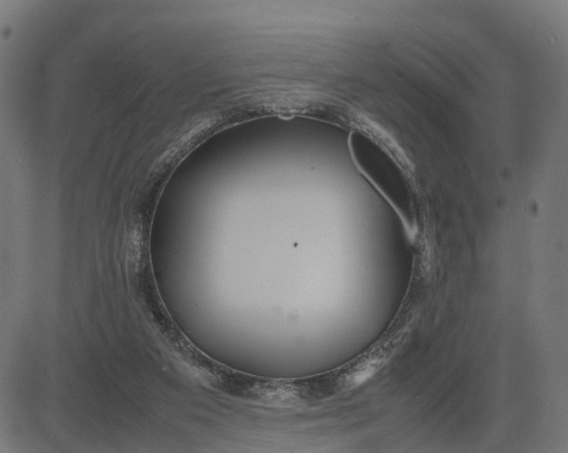 X0000082690113200702091707