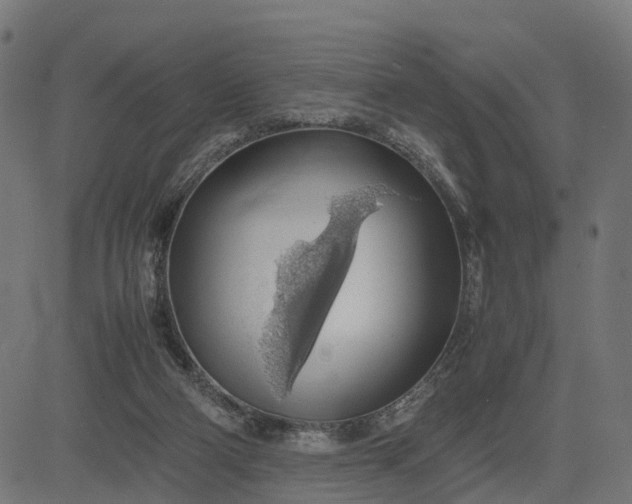 X0000082690114200702091707