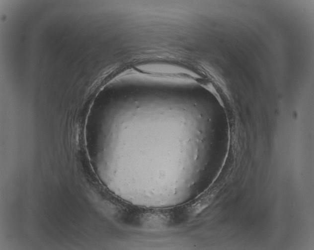 X0000082690115200702091707