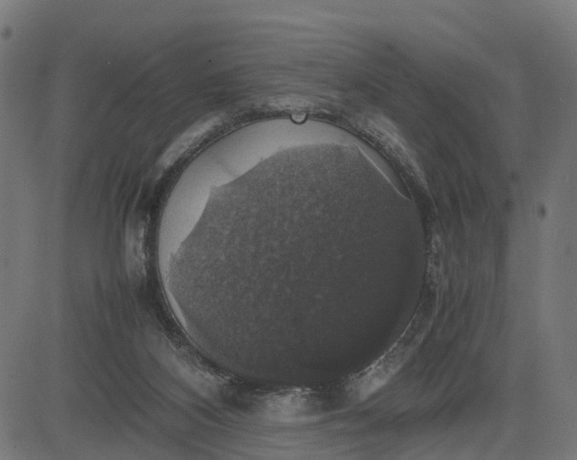 X0000082690116200702091707