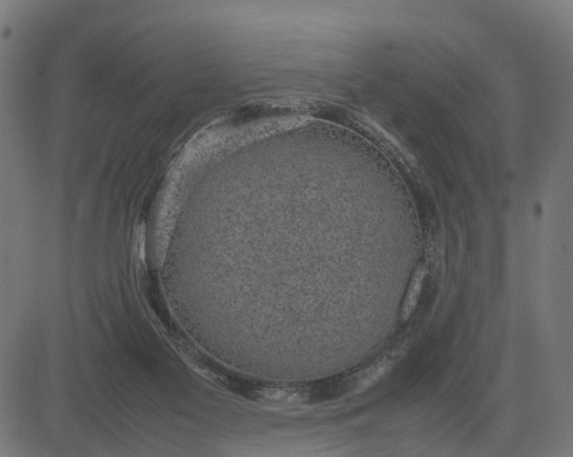 X0000082690117200702091707