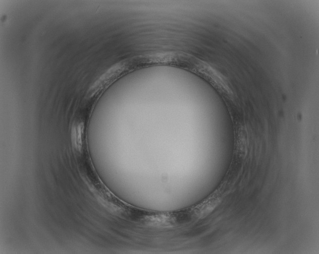 X0000082690118200702091707