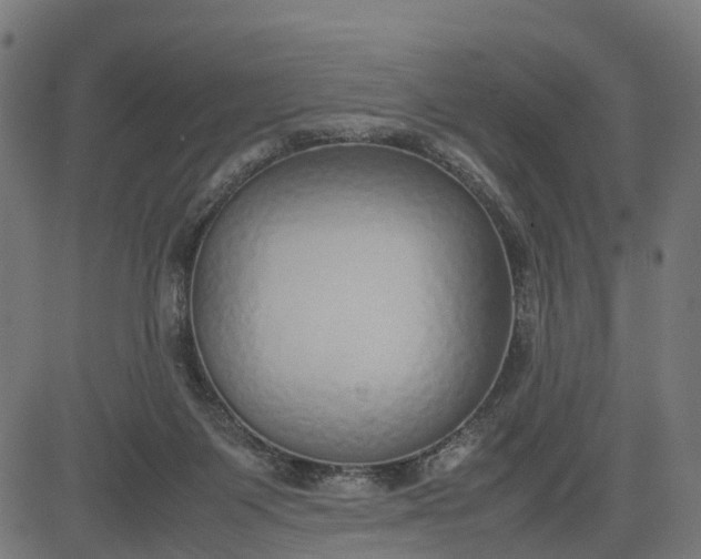 X0000082690119200702091707