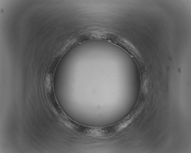 X0000082690121200702091707