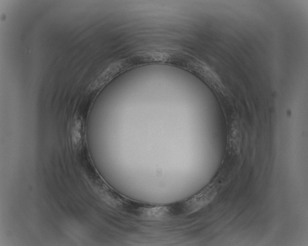 X0000082690122200702091707