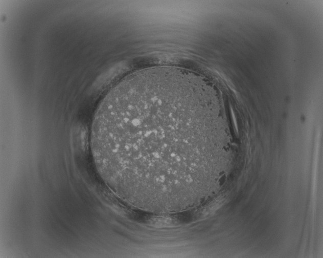 X0000082690123200702091707