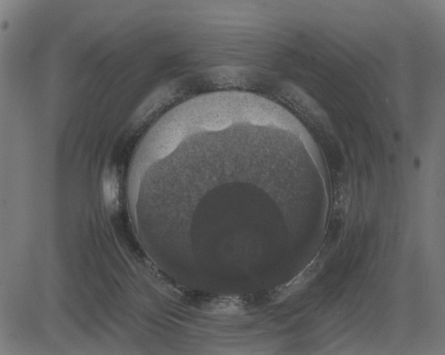 X0000082690124200702091707