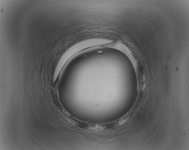 X0000082690125200702091707