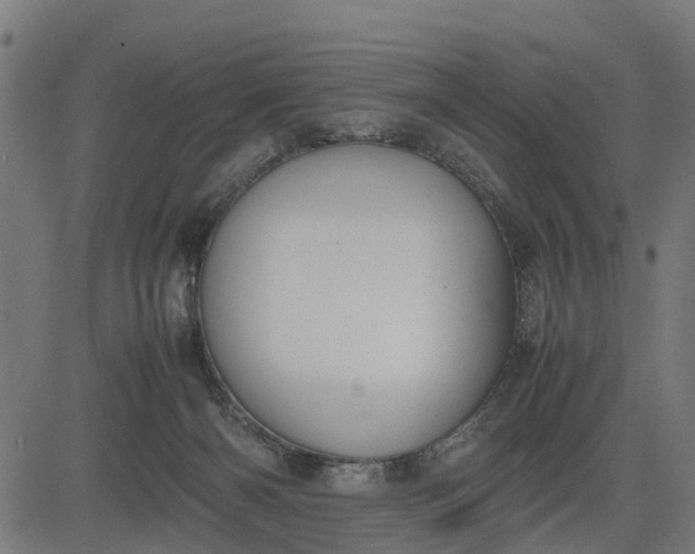 X0000082690126200702091707