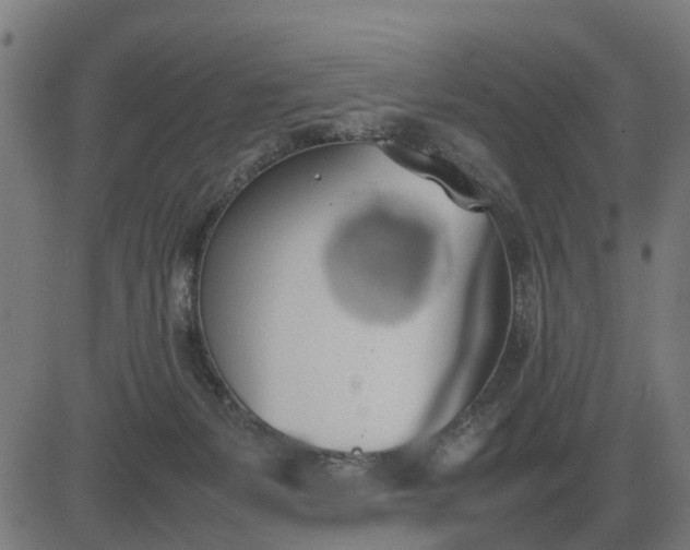 X0000082690127200702091707