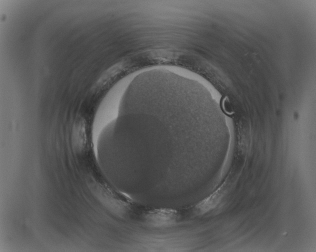 X0000082690128200702091707