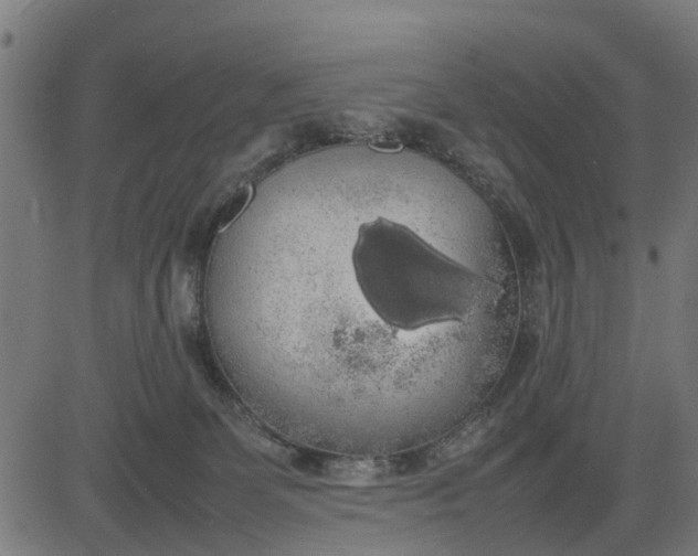 X0000082690131200702091707