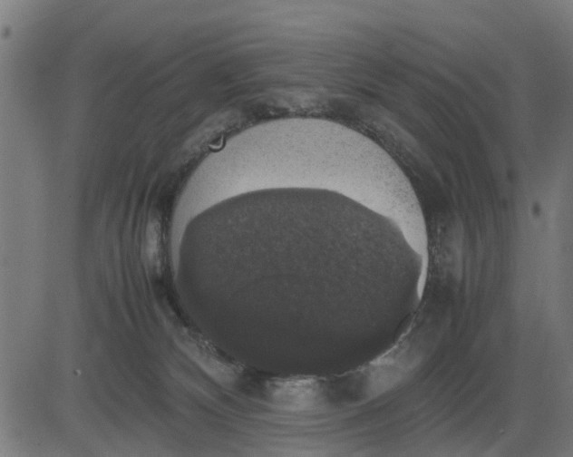 X0000082690132200702091707