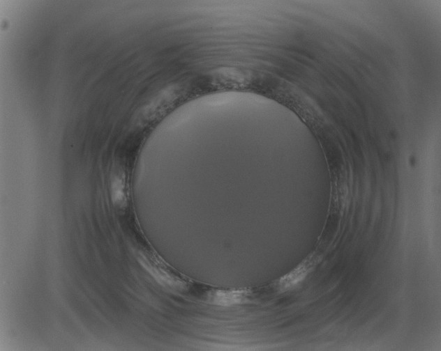 X0000082690134200702091707