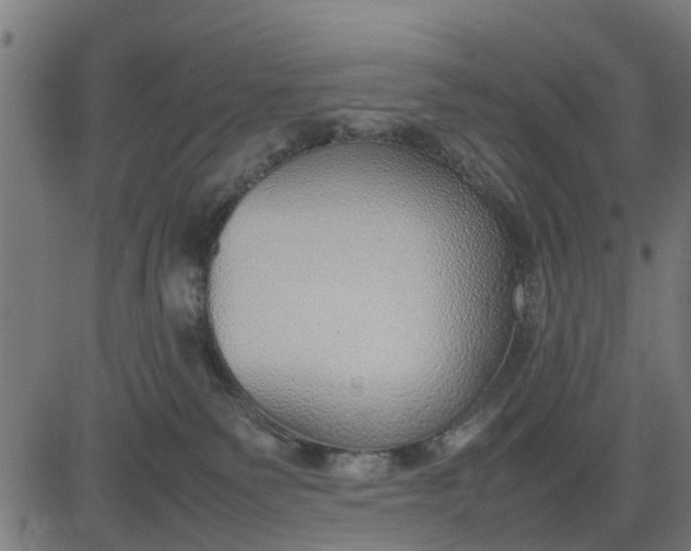 X0000082690135200702091707