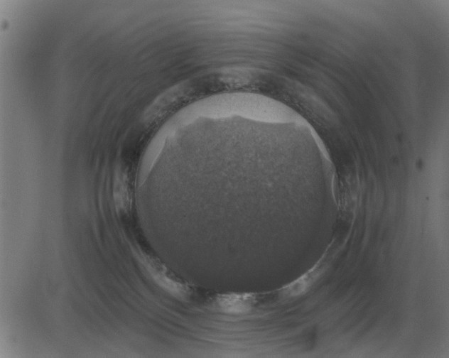 X0000082690136200702091707